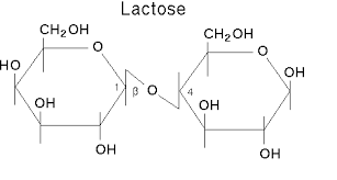 <p>B(1-4) Galactose-glucose</p>