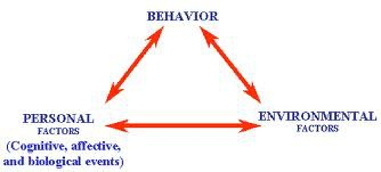 <p>the interacting influences of behavior, internal cognition, and environment</p>