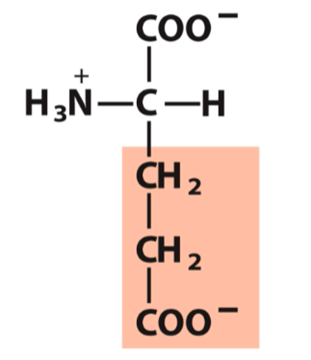 <p>What amino acid is this?</p>