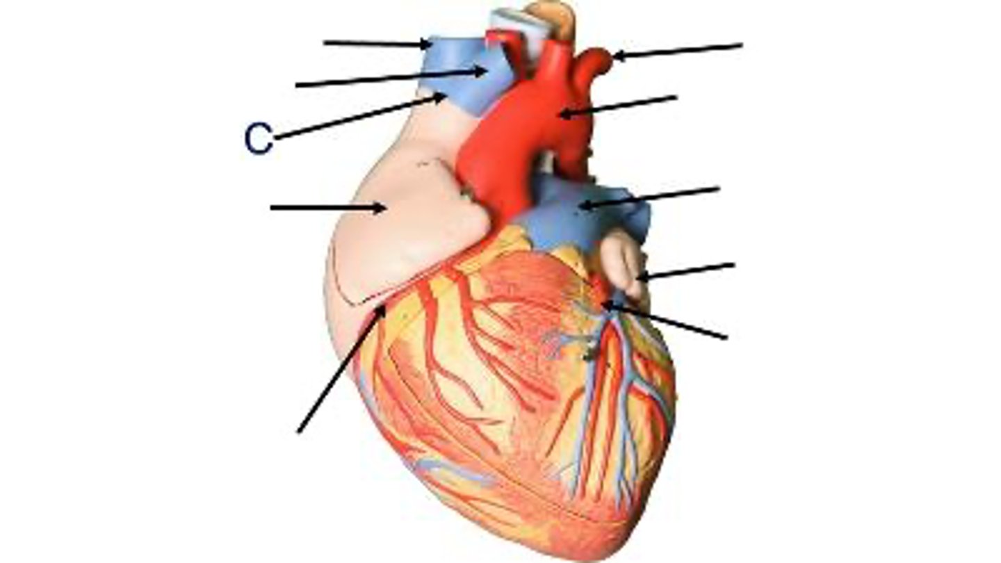 <p>What is this?</p>