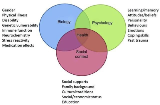<ul><li><p><strong>Body and mind</strong> interaction </p></li><li><p>Consequences of <strong>interplay</strong> <strong>biological</strong>, <strong>psychological</strong> and <strong>social</strong></p></li><li><p><strong>Systems</strong> influence each other</p></li></ul><p></p>