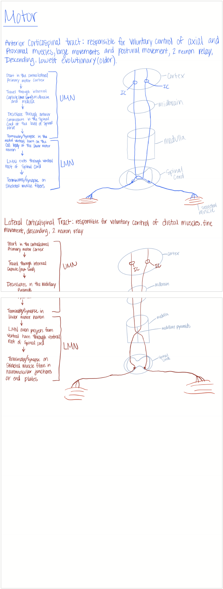 knowt flashcard image