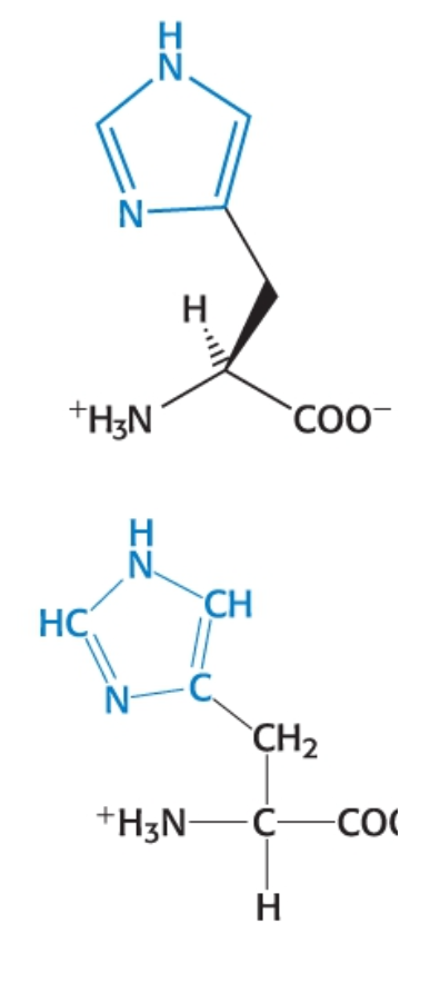 <p>Category: Polar Neutral </p>