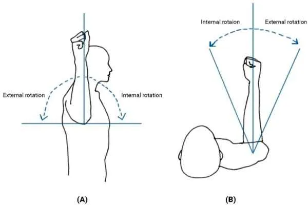 <p>turning a part on a single axis while bringing the anterior surface toward the midline</p>