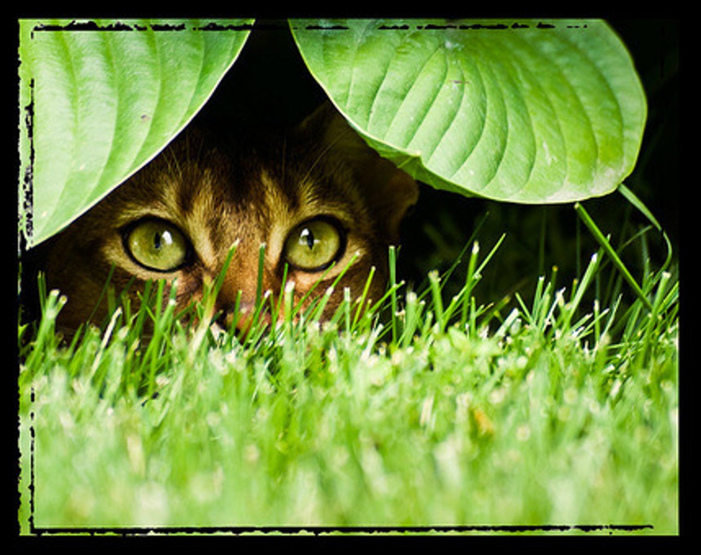 <p>(adj.) careful, cautious</p>