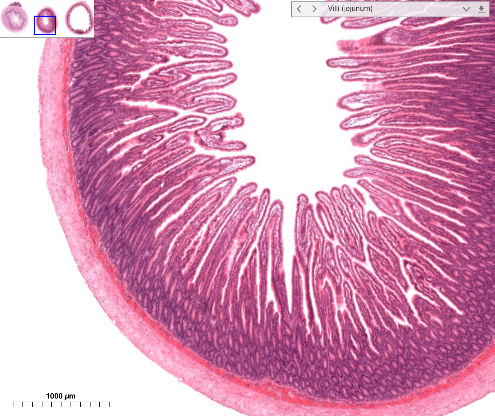<p>What is this?</p>