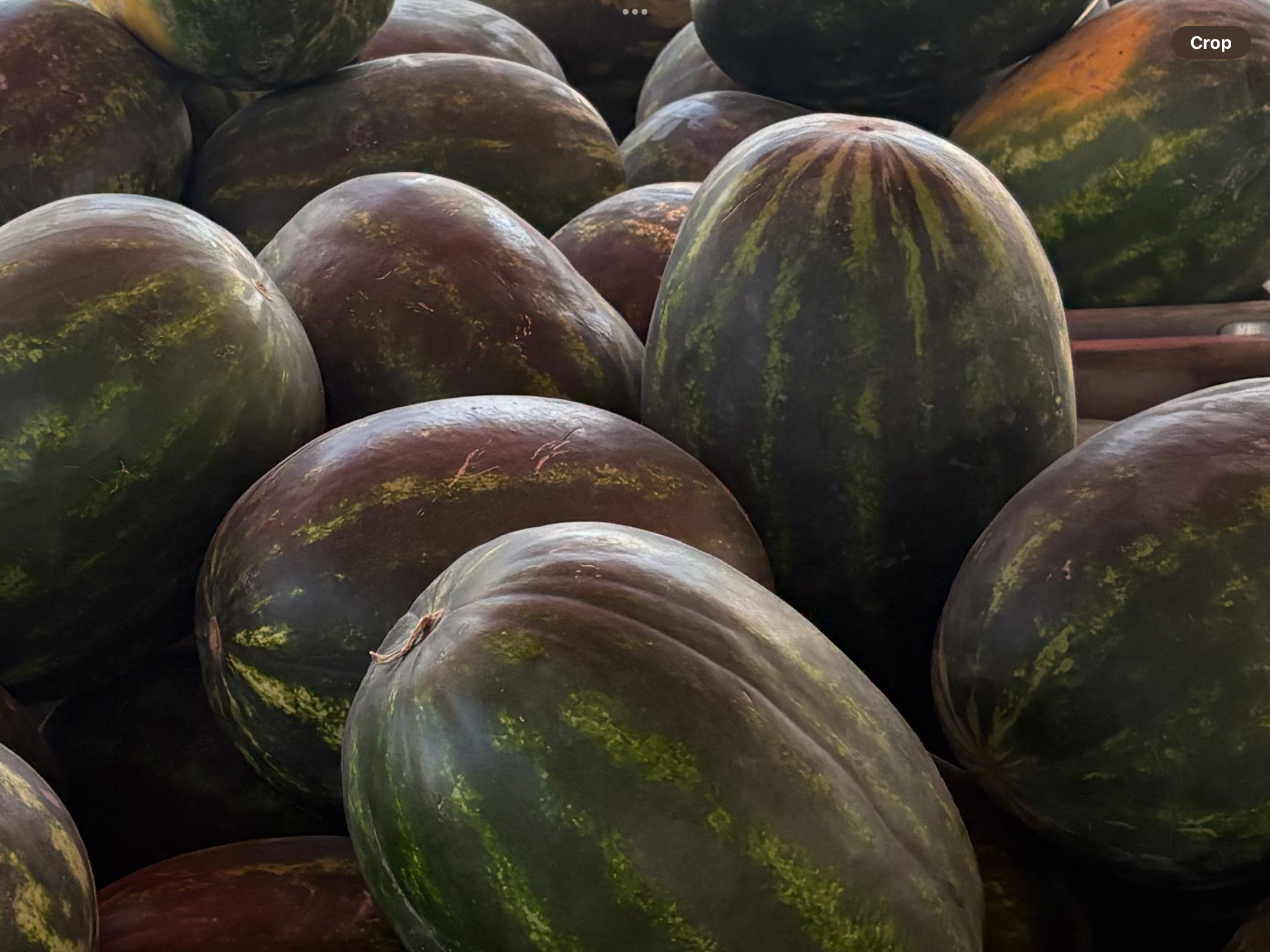 <p>Seedless watermelon</p>