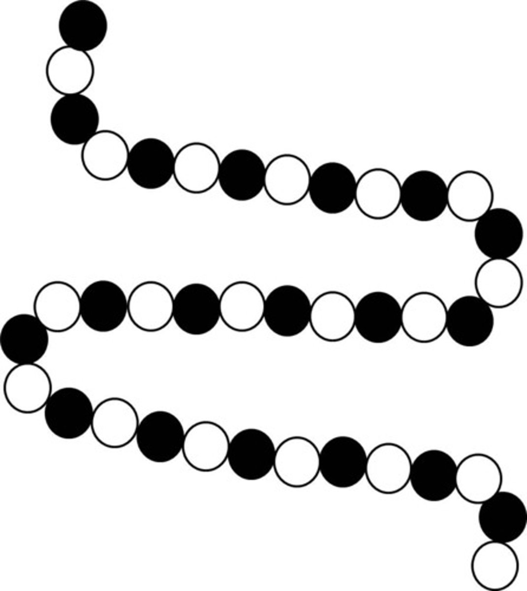 <p>a polymer consisting of two or more different monomers</p>