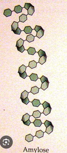 <ul><li><p>Monomer: alpha glucose</p></li><li><p>Bonds: 1→ 4 glycosidic bonds</p></li><li><p>Shape: unbranched chain of alpha glucose with a helical shape due to the 1→ glycosidic bonds because they cause an angle between the two monomers</p></li><li><p>Function: energy storage in plants</p></li></ul><p></p>