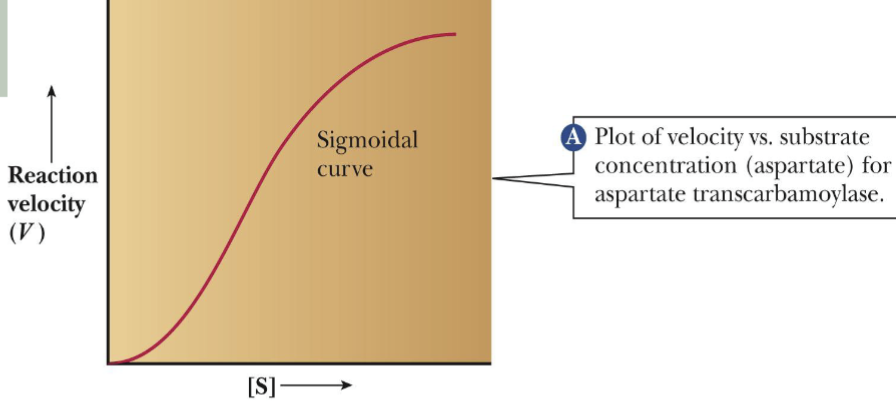 <p>-The rate of ATCase Catalysis vs substrate concentration </p><p>-The sigmoidal shape of curve describes allosteric behavior</p>