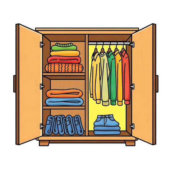 <p>A closet / a cupboard </p>