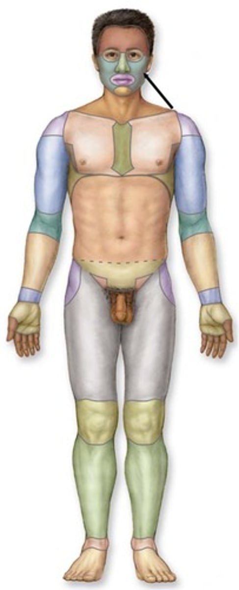 knowt flashcard image