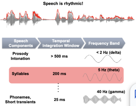 <ul><li><p><span style="background-color: transparent;"><span>Speech has a hierarchically organised/nested rhythmic structure, and this matches the hierarchy in brain oscillations.</span></span></p></li><li><p><span style="background-color: transparent;"><span>Prosody or intonation, which occurs on a slow timescale, matches delta rhythm in the brain.</span></span></p></li><li><p><span style="background-color: transparent;"><span>Syllables match theta rhythm in the brain, and phonemes match gamma rhythm in the brain</span></span></p></li><li><p><span style="background-color: transparent;"><span>In particular, the syllable rates corresponding to theta and brain oscillations have been known to be important for parsing and segmentation of speech streams and intelligible speech comprehension.</span></span></p></li></ul><p></p>