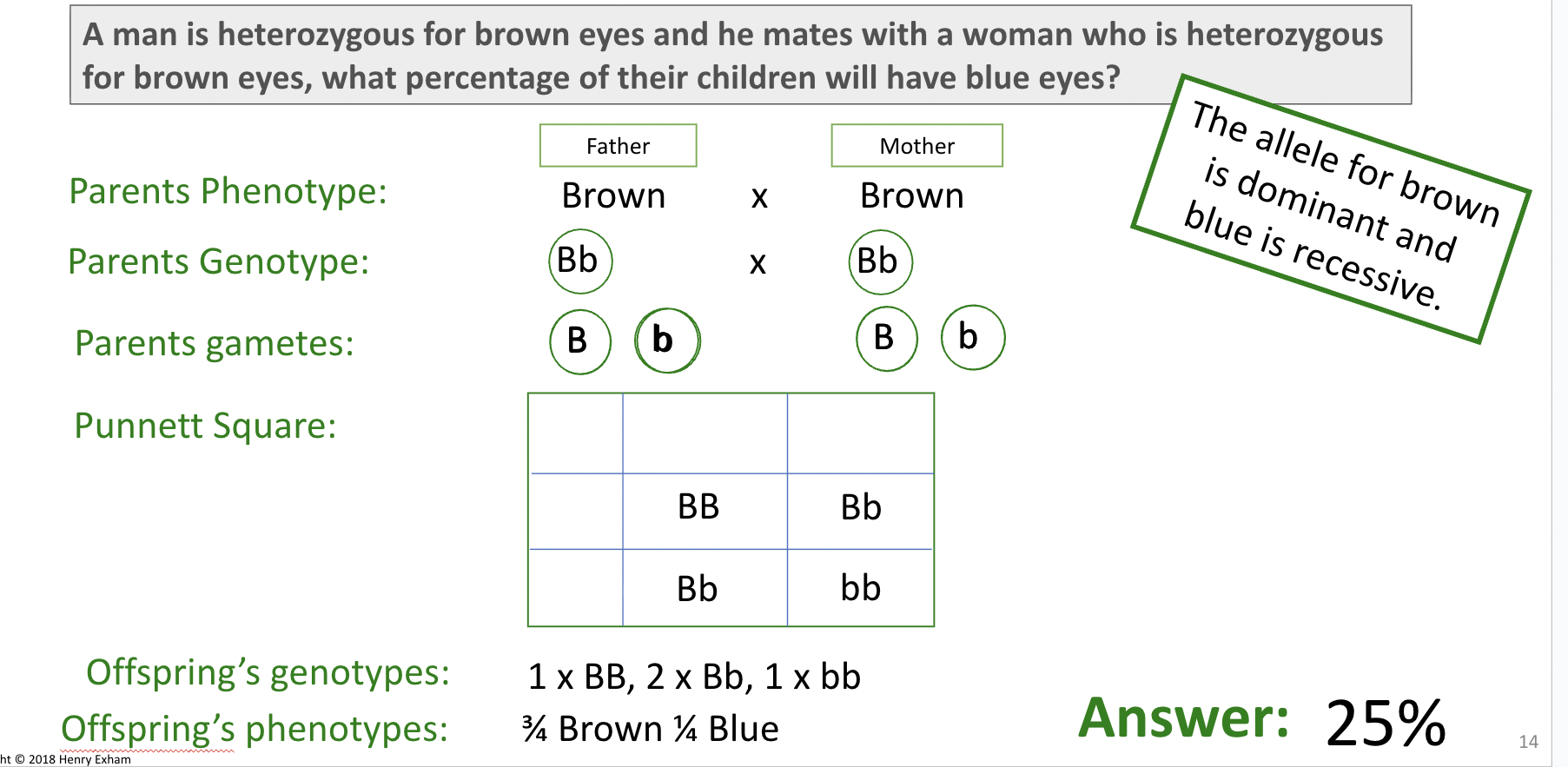 <p><span style="background-color: transparent;"><span>genetic diagrams and predict the </span><strong><span>probability</span></strong><span> of certain phenotypes in the offspring.</span></span></p>