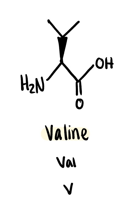 <p>non polar (hydrophobic), Val, V</p>