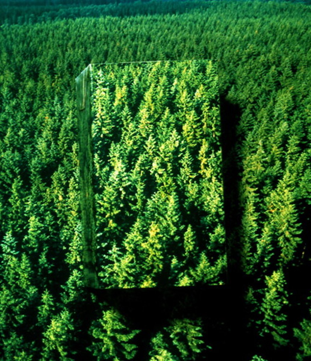 <p>A natural resource that can be replaced at the same rate at which the resource is consumed.</p>