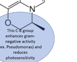 <ul><li><p>main difference is in Levofloxacin—&gt; increased half-life, more lipophilic—&gt; CAN PENETRATE CNS</p></li><li><p>Levofloxacin is less potent than Ciprofloxacin</p></li></ul><p></p>