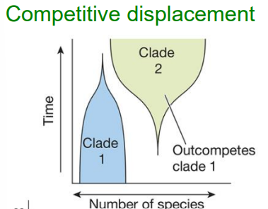 <p>one taxon outcompetes another</p>