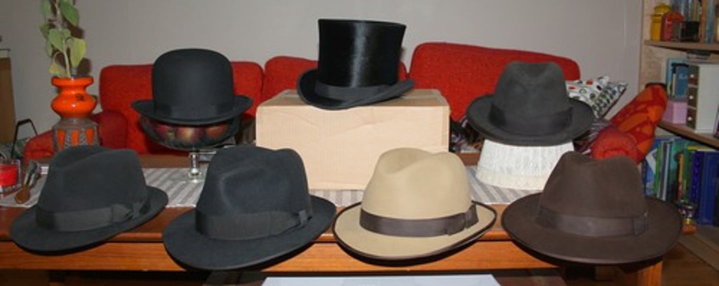 <p>hat; cap</p>