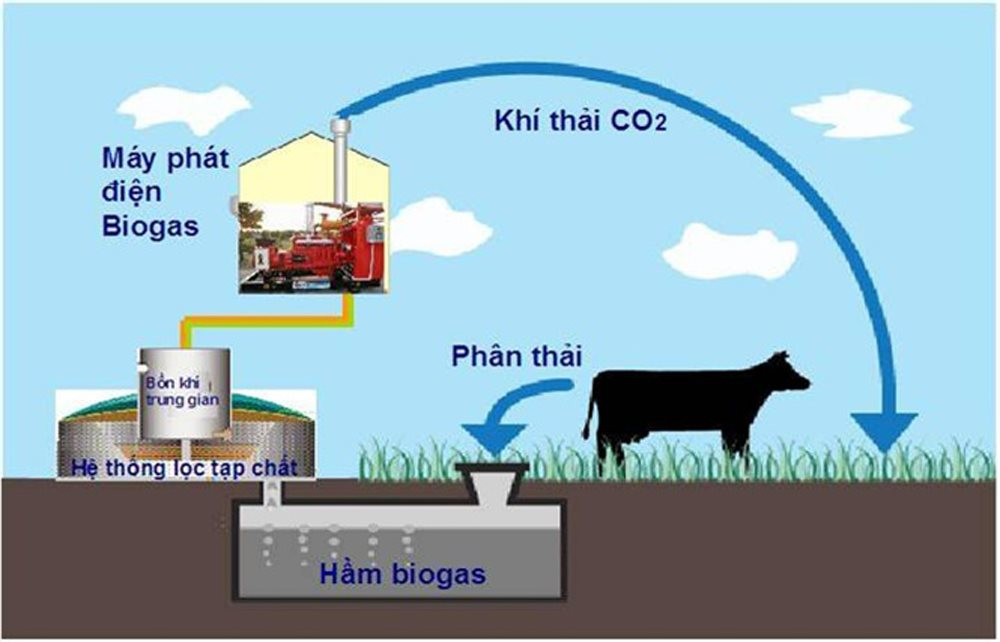 <p>khí sinh học </p>