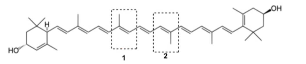 <p>Lutein from Latin luteus meaning "yellow" is a xanthophyll and one of 600 known naturally occurring carotenoids. Assign E/Z stereochemistry of the C=C bonds circled and labelled as 1 and 2</p>