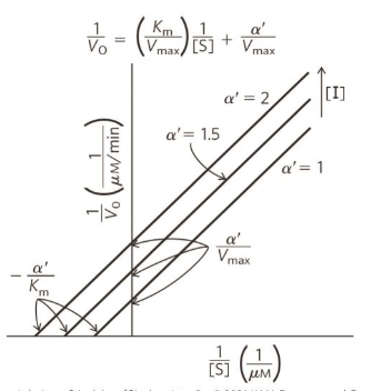 <p>Uncompetitive inhibition plot </p>