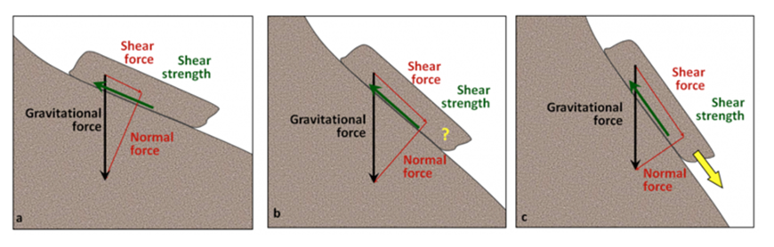 <ul><li><p>classified in different ways </p></li><li><p>downward movement of material on a slope </p></li><li><p>consist of unconsolidated (loose) material - made of many individual pieces that act on each other to create a dynamic mass movement </p></li><li><p>Rock falls + avalanches = examples of unconsolidated mass movement</p></li><li><p>Can also one as one consolidated mass - ie. landslides </p></li><li><p>Slope stability depends on the balance between a number of forces </p><ul><li><p>gravity - relates to steepness of slope</p></li><li><p>shear strength - relates to structure of slope + forces that maintain its stability </p></li><li><p>shear stress - refers to forces acting to reduce slope stability and lead to movement </p></li><li><p>Simply put - if shear stress is greater than shear strength and gravity and the angle of the slope is sufficient there will most likely be a mass movement - movement might be one bouler falling or a whole section of earth </p></li></ul></li></ul>