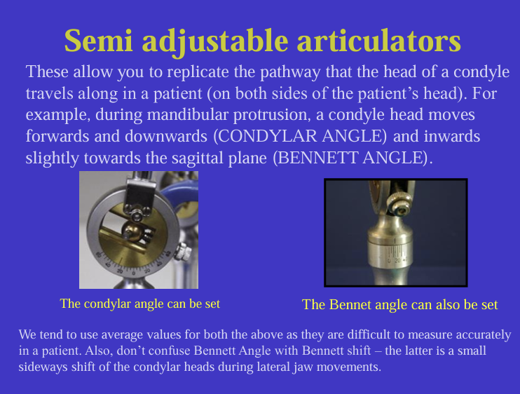 <p>condylar and bennet angles </p>