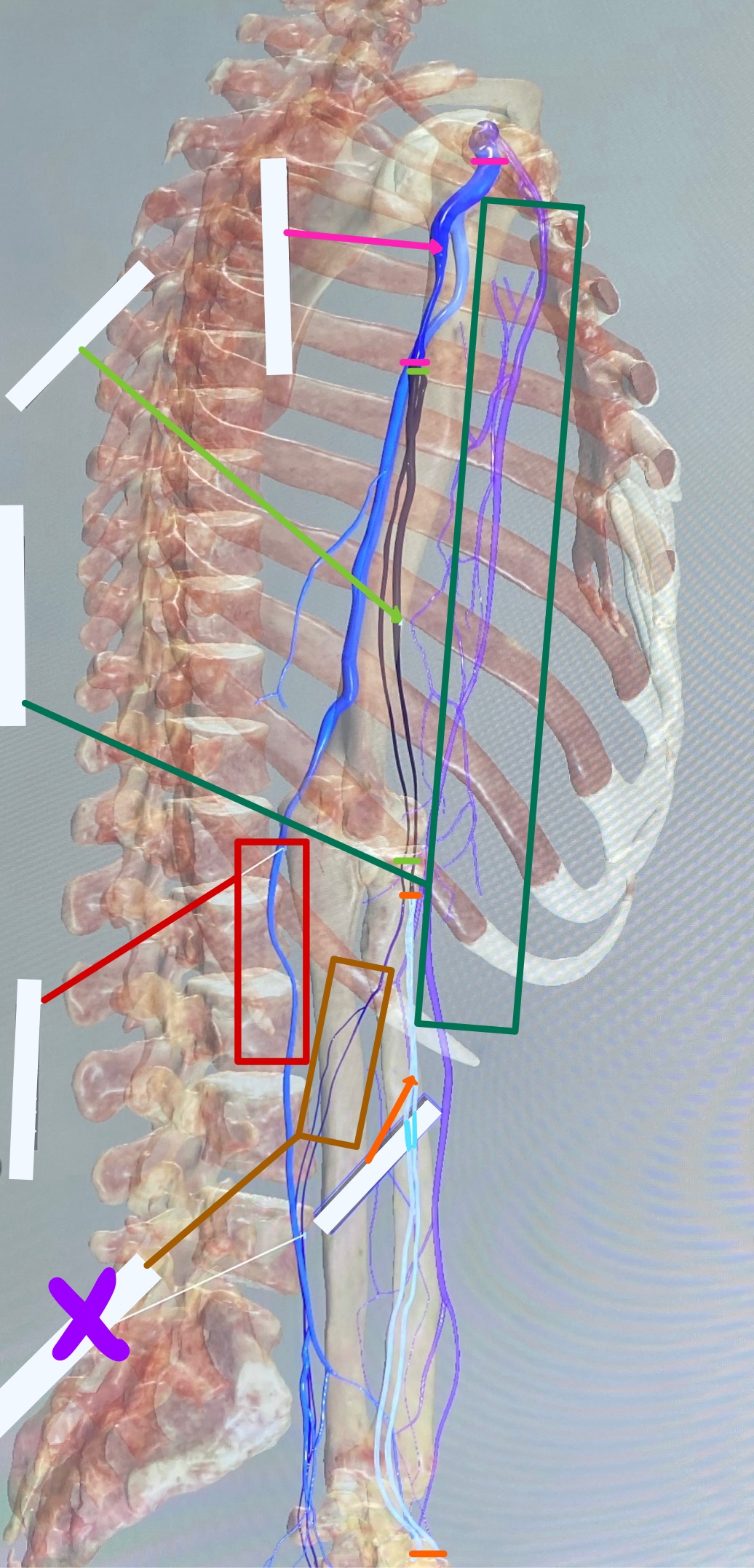 knowt flashcard image