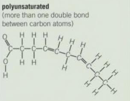 <p>More than one double bond between carbon atoms.</p>