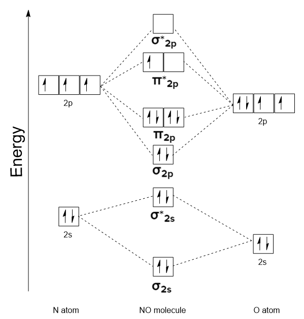 <p>diatoimic hetero nuclear mo diagram</p>