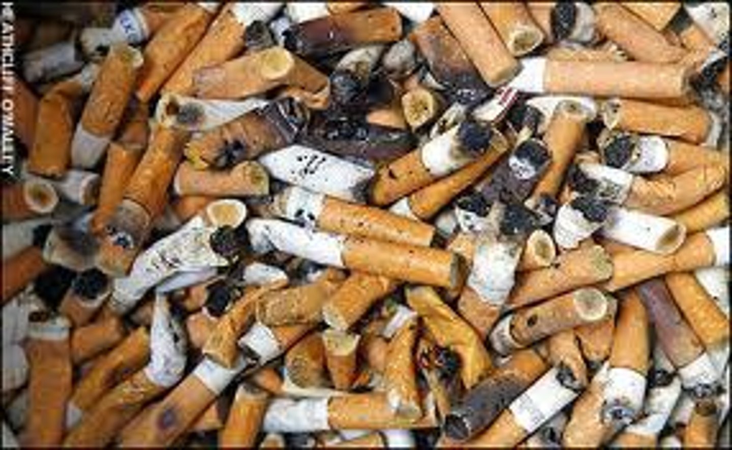 <p>causing harm: có hại</p>