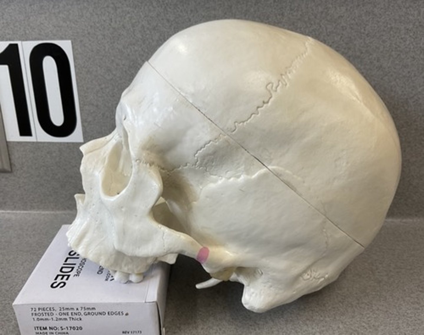 knowt flashcard image