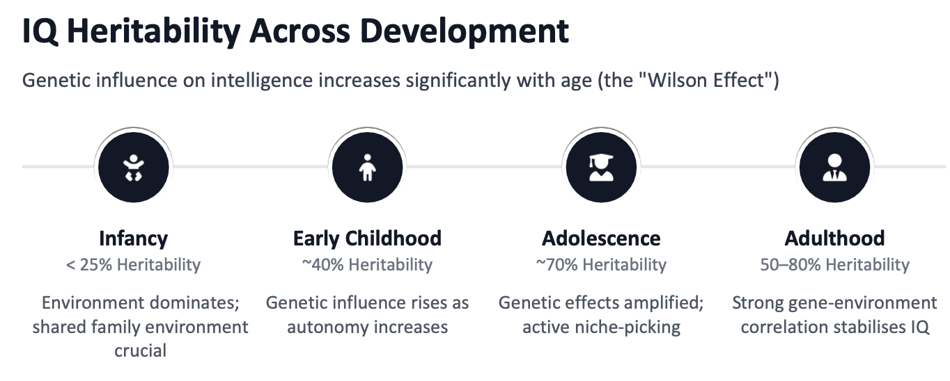 <p>Genetic influence on intelligence increases significantly with age </p><ul><li><p>Genetic differences grow larger over time </p></li><li><p>Selecting environments that match genotype</p></li><li><p>Declining influence from childhood to adulthood </p></li></ul><p></p>