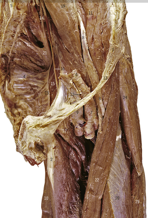 <p>2</p>
