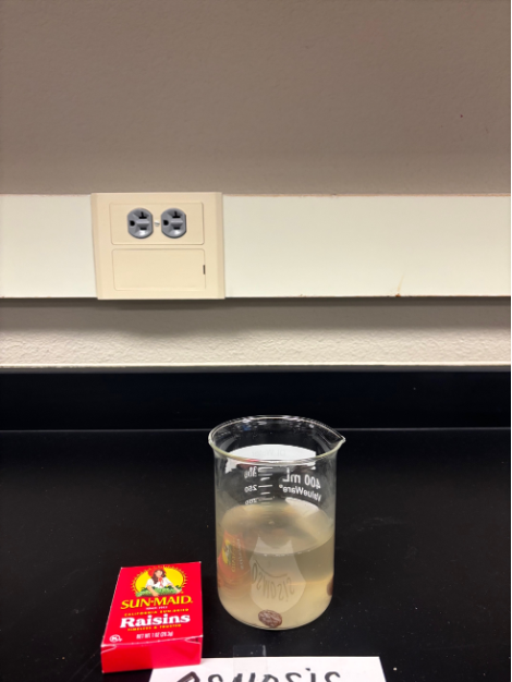 <p>What is this?</p>