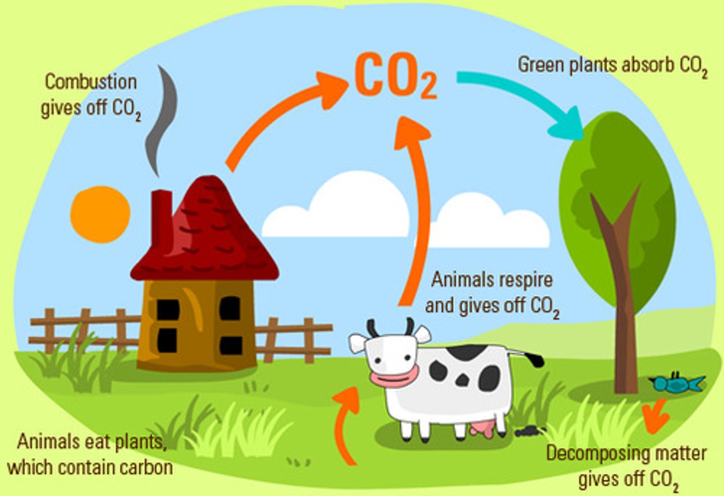 <p>a biofuel from a living organism that takes in as much carbon dioxide from the atmosphere as is released when the fuel is burned</p>