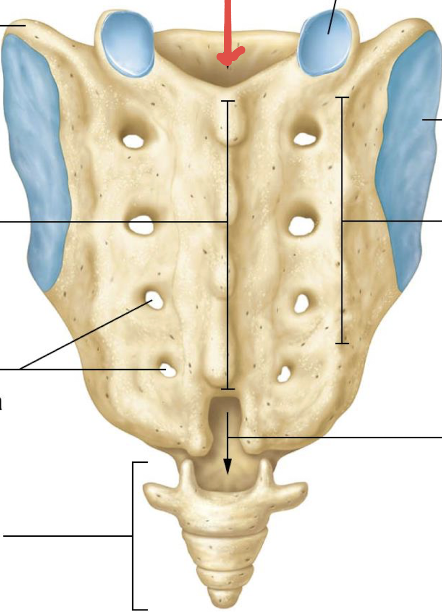 <p>what is this?</p>