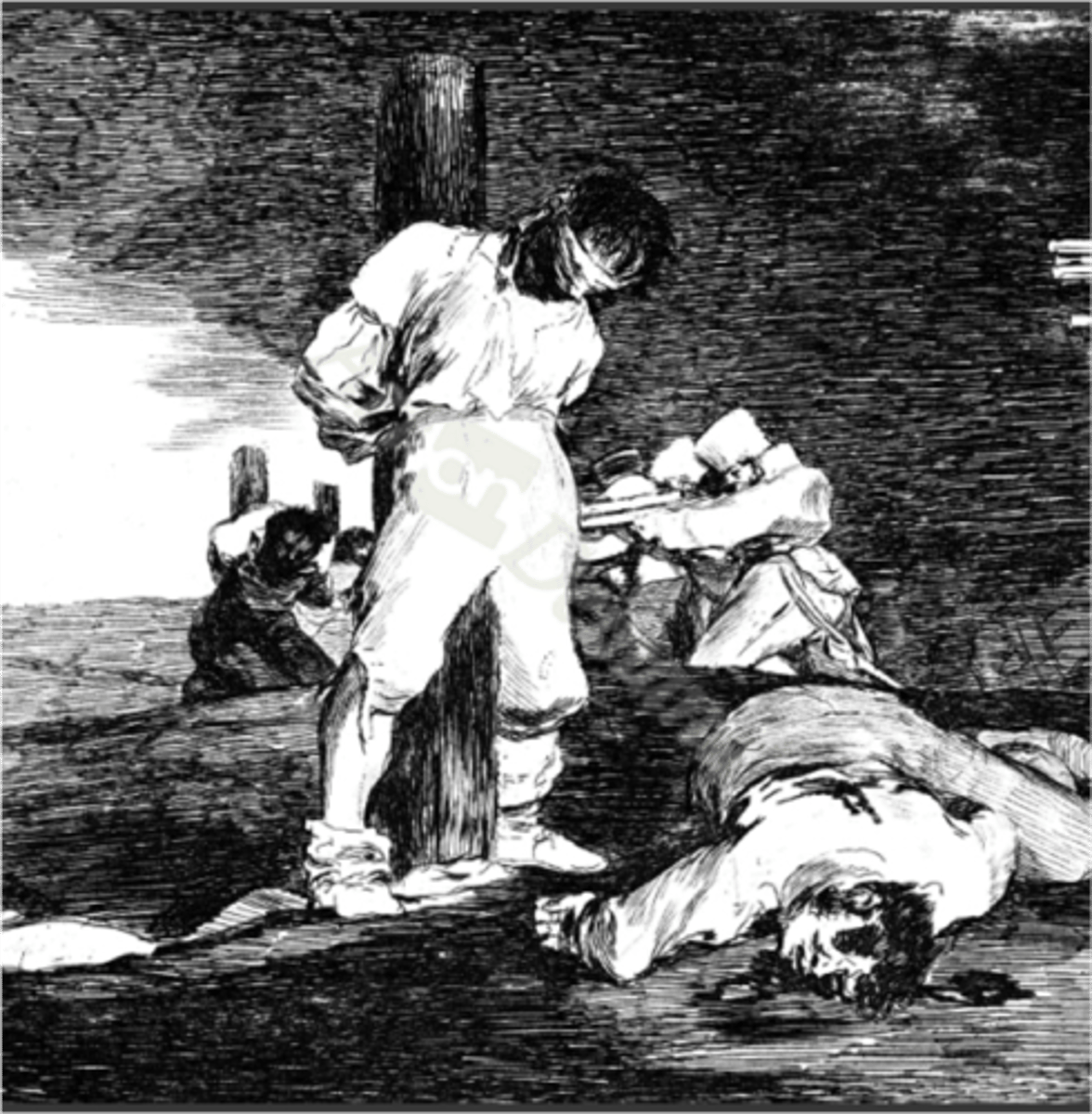 <p>1810-23 (pub. 1863)</p><p>Francisco de Goya</p><p>Drypoint etching</p>