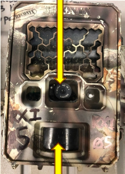 <p>What camera is this and what do the arrows show?</p>