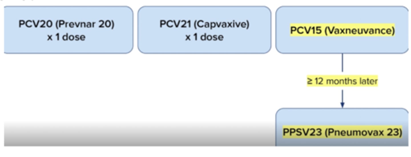 <p>children: 4 doses of PCV15 or PCV20</p><p>All pts >50 yo</p><p>Pts 19-49 yo at increased risk</p><p>3 different regimens:</p><p>- PCV20 x 1 dose</p><p>- PCV21 x 1 dose</p><p>- PCV15 x 1 dose, then >12 months later PPSV23 (8 weeks if immunocompromised)</p>