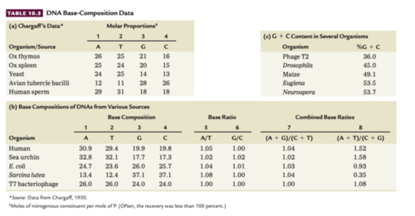 <p>1949-1953 Chargaff used chromatographic methods to separate the 4 bases in DNA samples from various organisms</p><p>-quantitative methods, on table u can see</p><p>1. the amount to adenine residues is proportional to the amount of thymine residues In DNA (1,2,5) and G proportional to C (3,4,6)</p><p>2. sum of purines equals the sum of pyrimidines (7).</p><p>3. Percentage of (G+C) does not necessarily equal the percentage of(A+T), ratio varies greatly among organisms</p><p>- definite pattern of base composition in DNA molecules -- refute tetra nucleotide hypothesis (4 bases are present in equal amounts)</p>