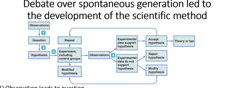 is tested through experiment ( potential answer to question)