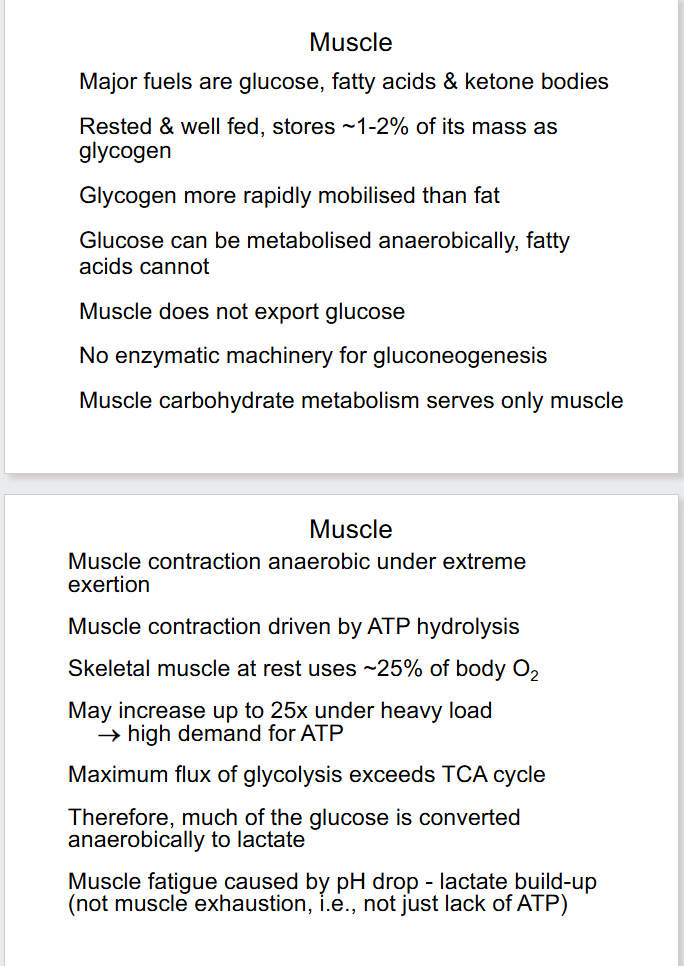 <p>DIAGRAM ON SLIDE 20 and 21</p>