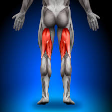 <p>Posterior thigh muscle that causes knee flexion</p>