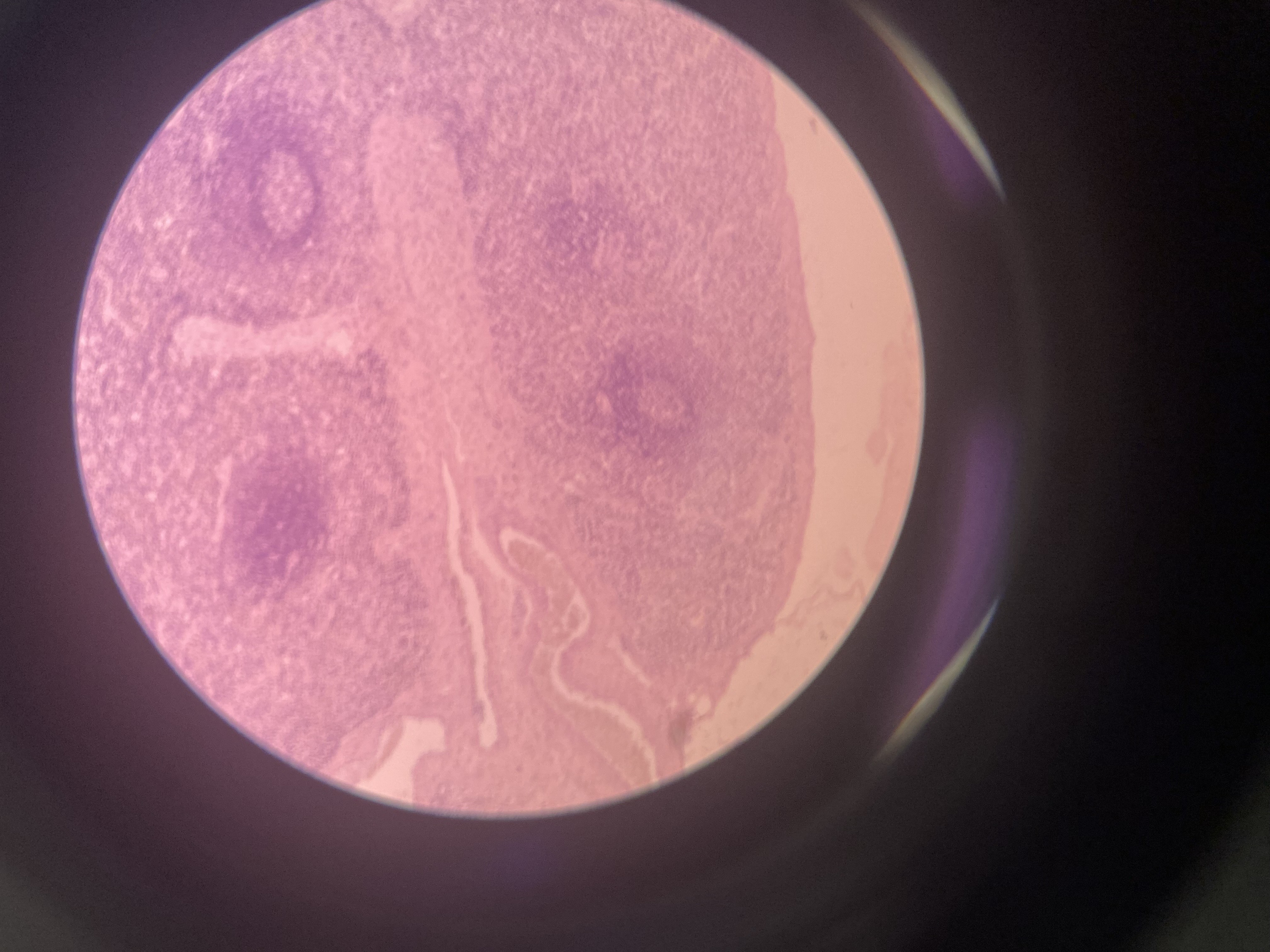 <p>What&nbsp;is this structure?</p>