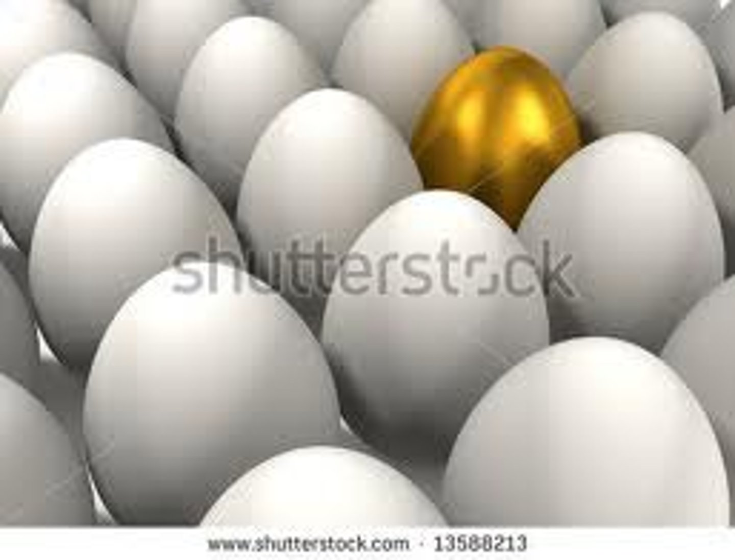 <p>使......與眾不同</p>