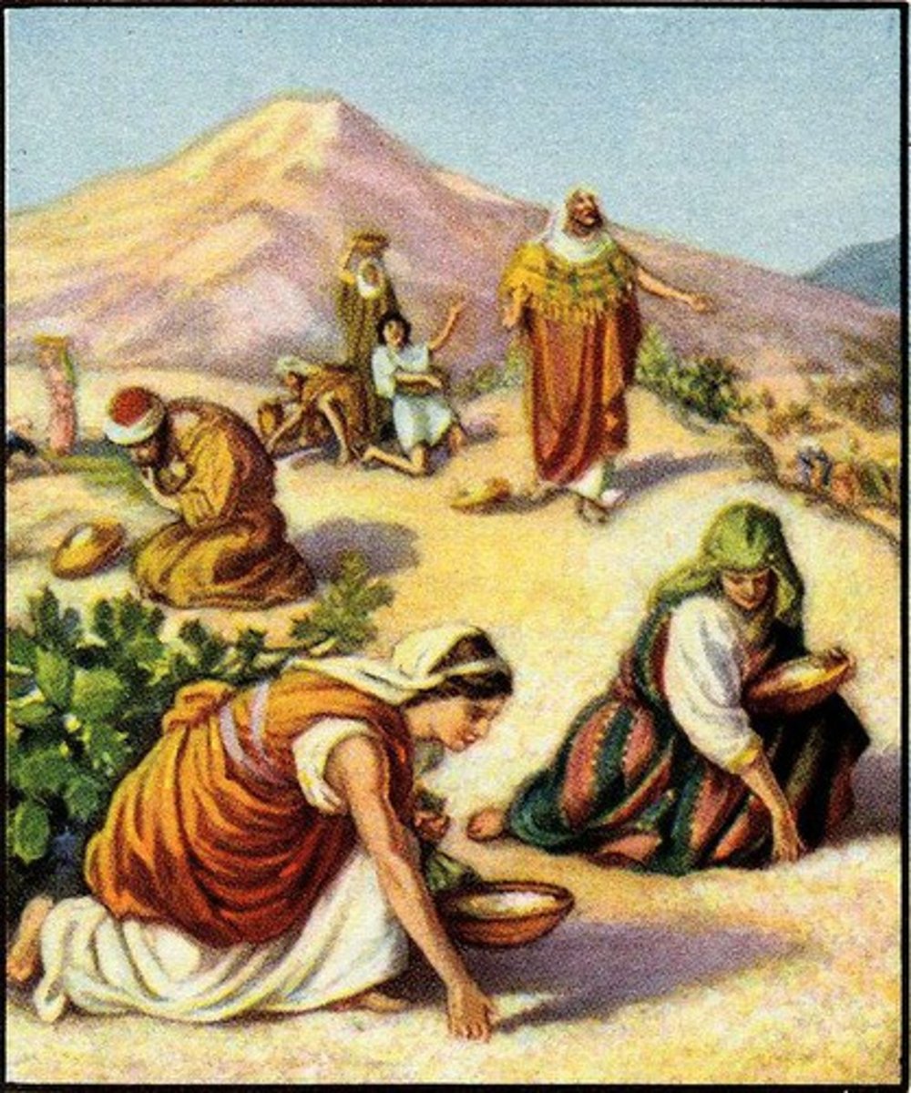 <p>Small white flakes with sweet taste that was the bread that God gave the Israelites in the desert.</p>