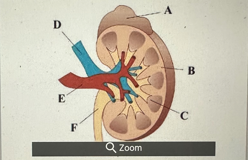<p>What is F?</p>
