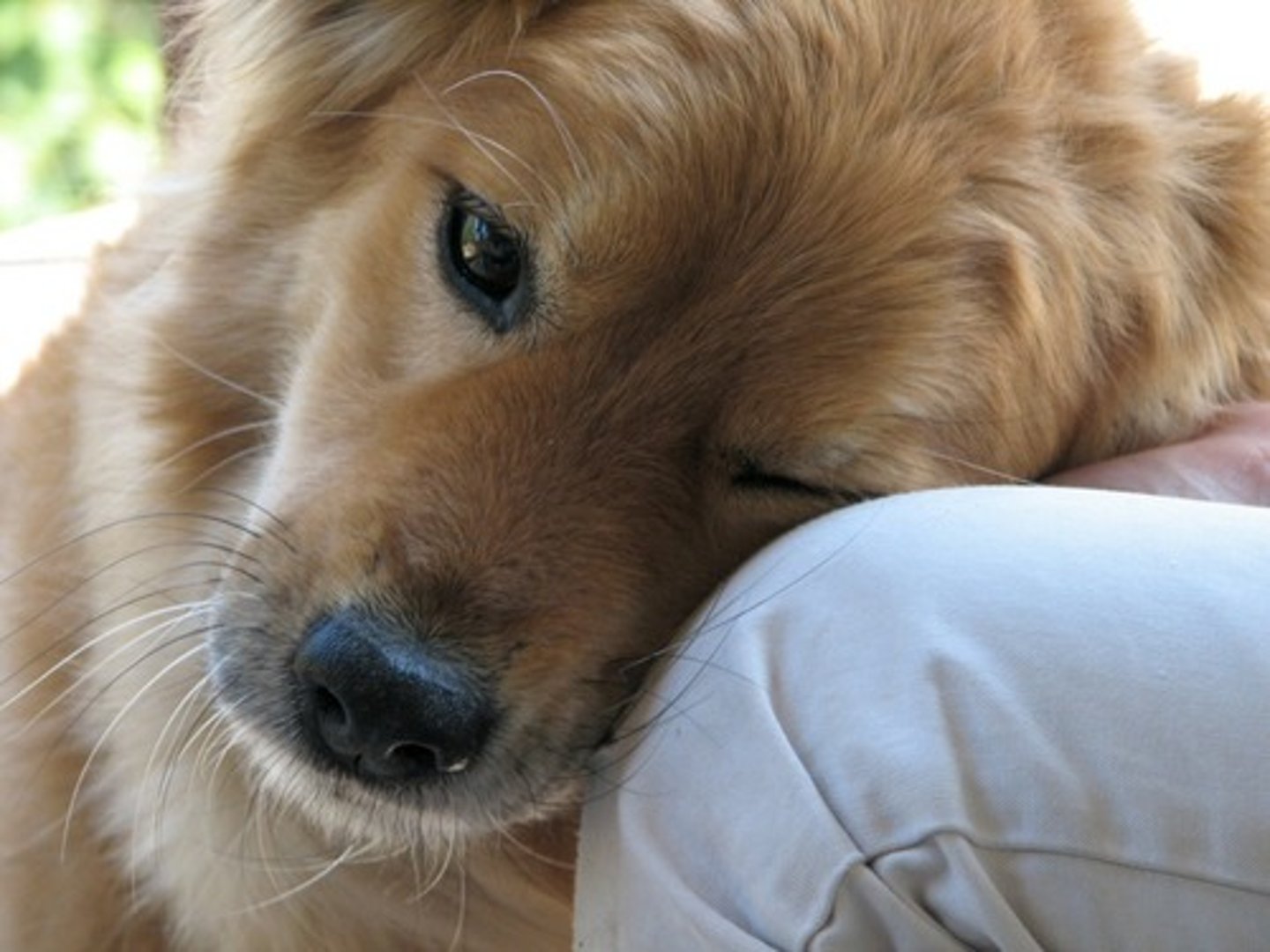 <p>adorable</p>
